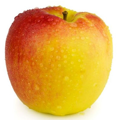 Fruit Trees