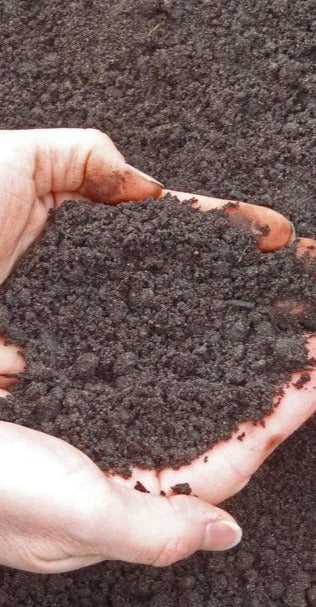 Garden Top Soil - Professional Series