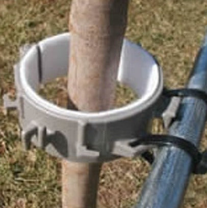 Tree Support System - Trelllis Mate for Garden Centers and Nurseries