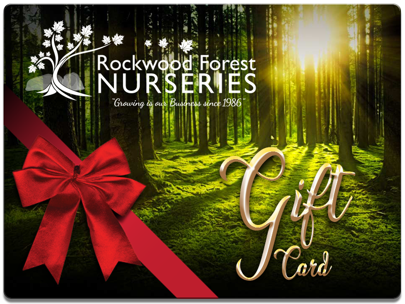 Rockwood Forest Nurseries - Gift Card or Certificate